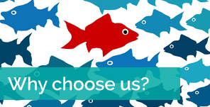 Why choose us?